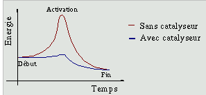 Energie au cours d'une réaction chimique exergonique